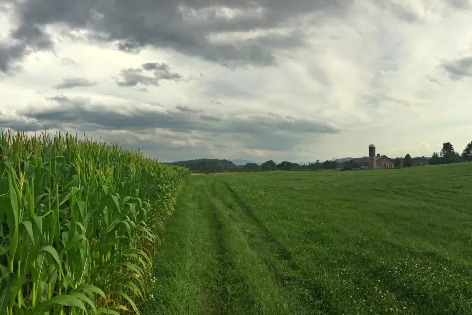 Farmland New Hampshire